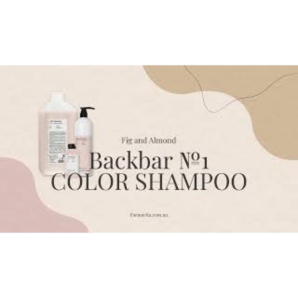 Back Bar №01 шампунь для фарбованого  волосся (pH=4.5) 250 ml